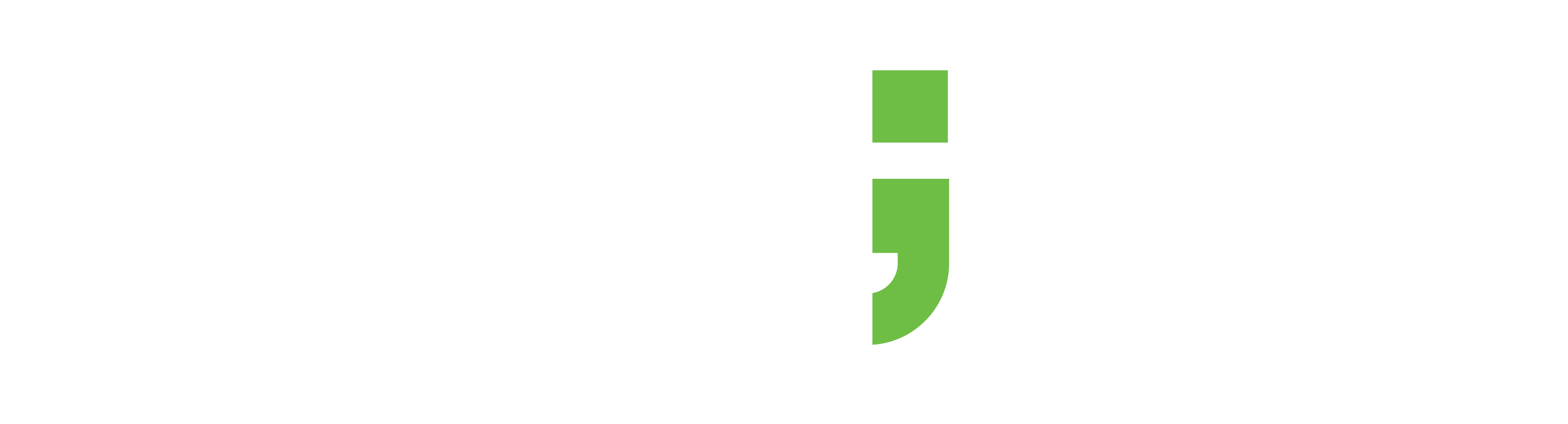 Datainfo Logo